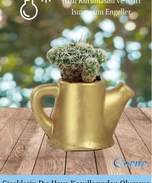 Mini Çiçek Saksı Küçük Sukulent Altın Kaktüs Saksısı Mini Çaydanlık Model